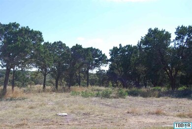 5057 Comanche Rd, Temple, TX 76502 - photo 4