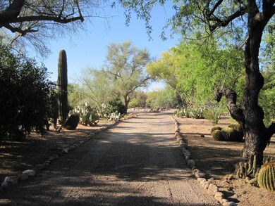 Driveway view from house