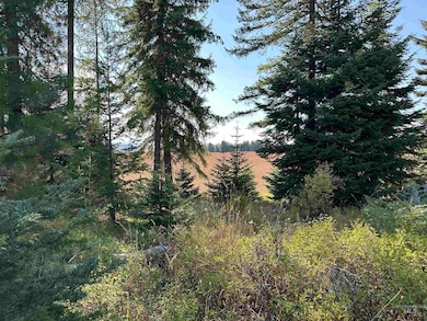 TBD Parcel 1 Peaceful Valley Rd, Kamiah, ID 83536 - photo 6