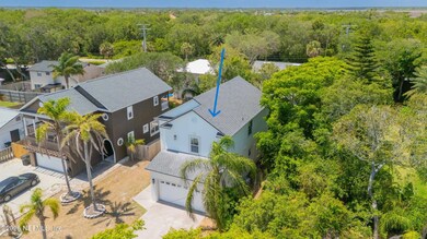 Aerial showing 20 foot buffer 2