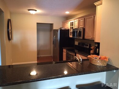 4543 N Thornhill Dr unit 102, Peoria, IL 61615 - photo 3