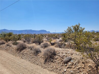 870 Calico Dr unit 4/Lot1556, Meadview, AZ 86444 - photo 2