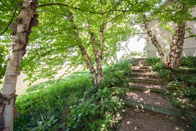 LovelyLandscaping