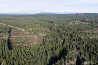 0 NKA Bowes Rd, Hoquiam, WA 98550 - photo 7