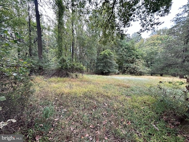 15325 Holly Grove Rd, Silver Spring, MD 20905 - photo 4