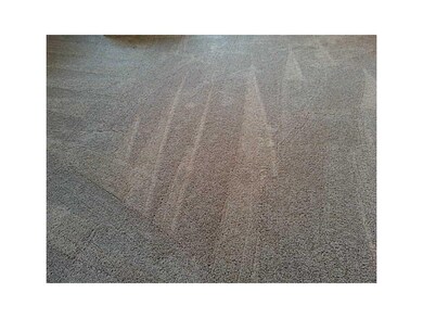 Interior Space/Layout. New Carpet
