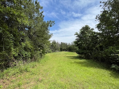 0 Judydahl Rd unit 11616615, Woodville, MS 39669 - photo 7