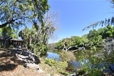 View of the Hillsborough River from the backyard.