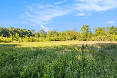 004_img_2125_431