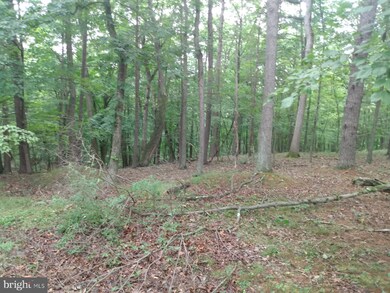 11 Pleasant Dale Ln, Great Cacapon, WV 25422 - photo 3