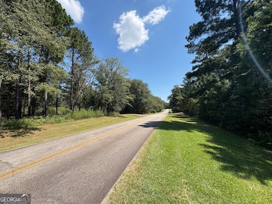 TRACTS 2-4 Old Rumble Rd, Forsyth, GA 31029 - photo 4