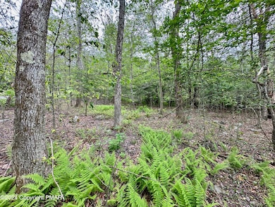 56 B June Dr, Tobyhanna, PA 18466 - photo 6