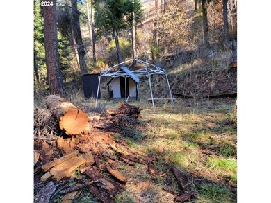 0 River Canyon Rd unit TL 900, Imnaha, Or, OR 97842 - photo 3