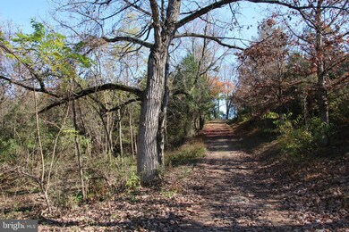 0 Tree Farm Ln, South River, VA 22610 - photo 4