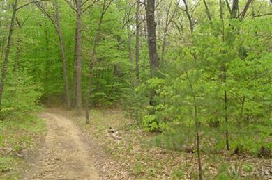 0 N Felch Ave unit 12029441, Sherman Township - Newaygo, MI 49349 - photo 3