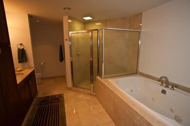 Owner's bathroom