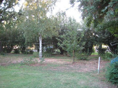 backyard #3