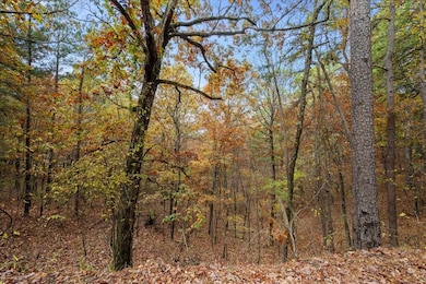 0 Southern Hills Cir, Broken Bow, OK 74728 - photo 6