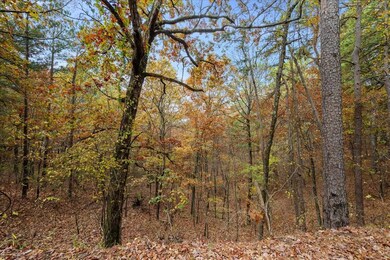 19 Southern Hills Cir, Broken Bow, OK 74728 - photo 6