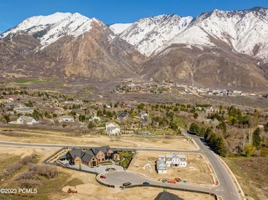 1550 N Eliza Cir Drone_02