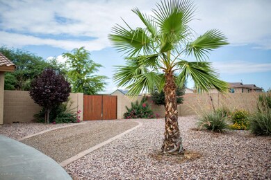 Front Side Yard