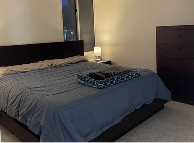 5809 Oakwood Dr unit C, Lisle, IL 60532 - photo 7