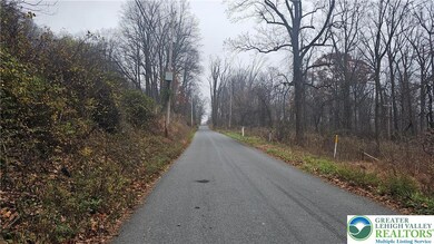 4057 Sherry Hill Rd, Hellertown, PA 18055 - photo 5