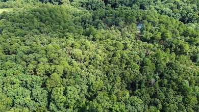 6.11 Highway 59, Jay, OK 74346 - photo 5