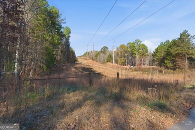 469 Lee Williams Rd, Carrollton, GA 30117 - photo 4