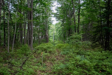 0 Wildes District Rd, Kennebunkport, ME 04046 - photo 6