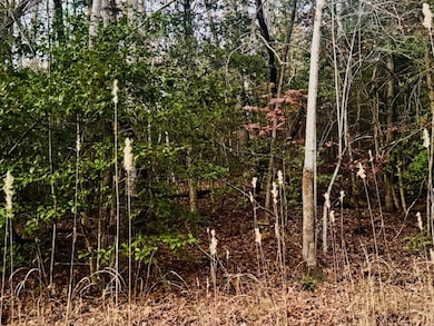 LT 9 Timberline Rd, Murphy, NC 28906 - photo 6