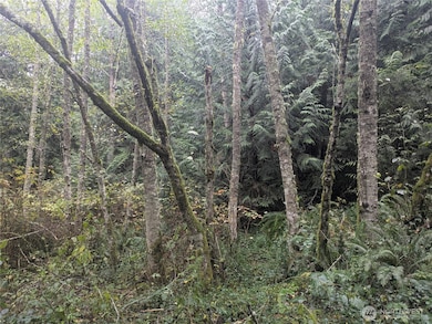 0 XXX Jewett Rd, Clinton, WA 98236 - photo 5