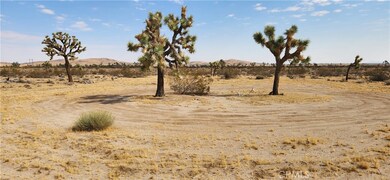60220 Drexel Rd, Joshua Tree, CA 92252 - photo 3