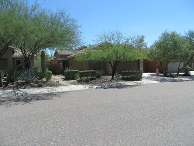 18169 E El Viejo Desierto, Gold Canyon, AZ 85118 - photo 3