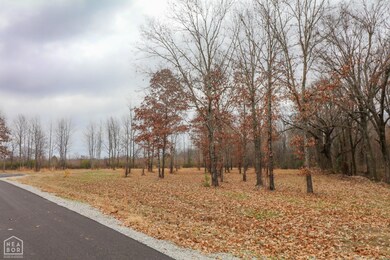 0 Diamond Valley Estates unit 10111715, Jonesboro, AR 72404 - photo 5