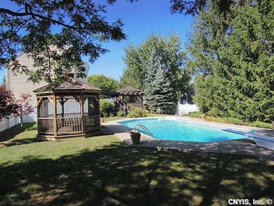 Backyard. This back yard is your own private parad