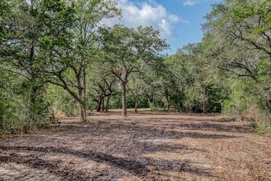 Tract 5 Sun Oil Rd, Brenham, TX 77833 - photo 2