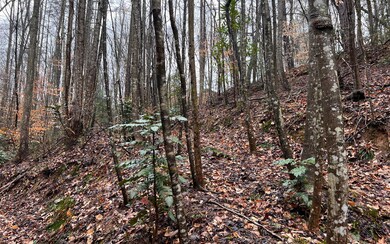 0 Hancock Dr unit 323119, Ellijay, GA 30540 - photo 7