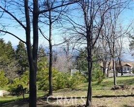 42 Park Dr, Running Springs Area, CA 92382 - photo 7