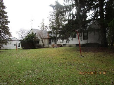 Quiet back yard with mature trees.