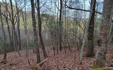Additional View