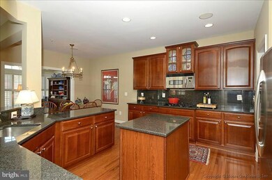 23123 Mistflower Dr, Clarksburg, MD 20871 - photo 4