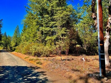 291 Oliva Dr, Hayfork, CA 96041 - photo 7