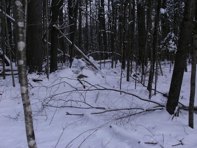 84 Vernon Ave, Haverhill, NH 03785 - photo 7