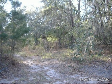 247 Indian Lakes Forest Rd, Florahome, FL 32140 - photo 3