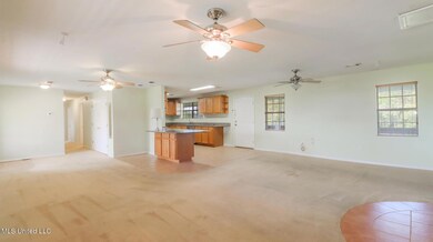 10017 Mississippi St-20001