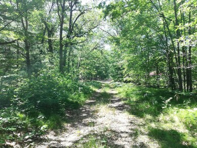 9030 12th Ave, Bitely, MI 49309 - photo 7