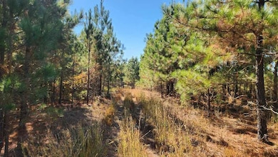 Dyerock Rd, Donaldson, AR 72104 - photo 2