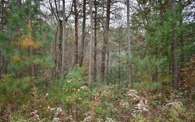 Additional View