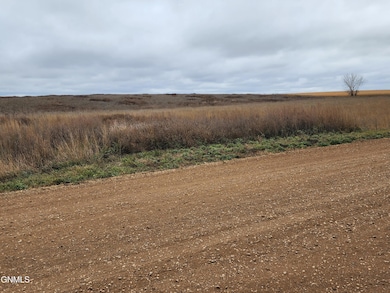 4489 Cow Poke Trail, Mandan, ND 58554 - photo 3
